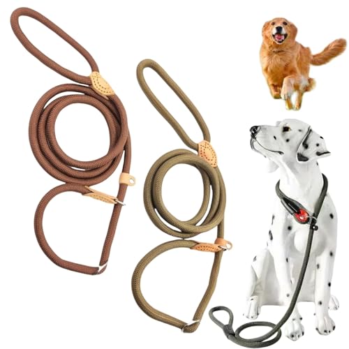 Reflektierende Trainingsleine für Hunde, langlebig, reflektierend, Nylon, Anti-Erstickung, verstellbare Haustier-Schlupf-Leine, flexible Hundeleine, 2 Stück Reflektierende Trainingsleine für Hunde, langlebig, reflektierend, Nylon, Anti-Erstickung, verstellbare Haustier-Schlupf-Leine, flexible Hundeleine, 2 Stück von SingHao