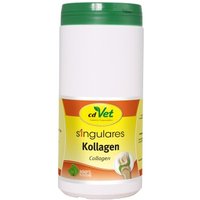 Singulares Kollagen 500 g von Singulares