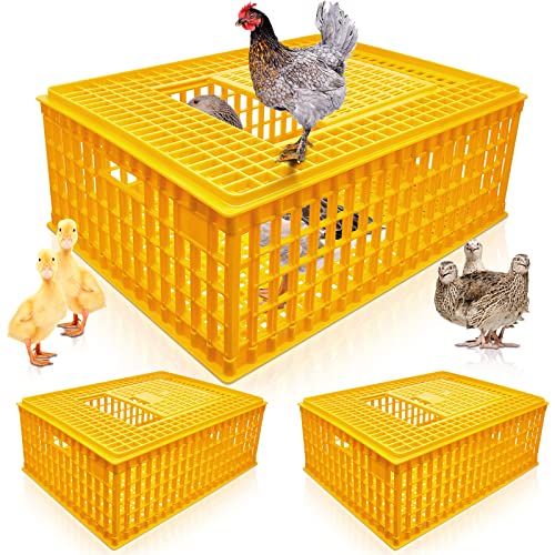 Sintuff 2 Stück Geflügeltragetasche, Kunststoff, Huhn-Transportkäfig, Vogelträger, Huhnträger, Reisebox, Korbbox für Geflügel, Huhn, Vogel, Ente, Gans, 74 x 55 x 29 cm von Sintuff