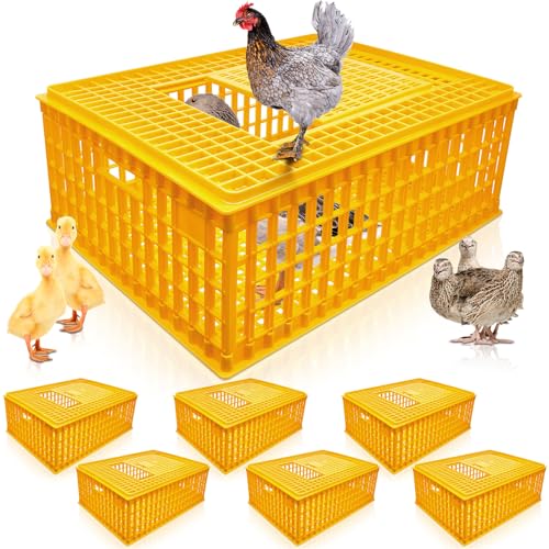 Sintuff Geflügel-Transportkäfig aus Kunststoff, für Hühner, Transportkäfig, Vogelträger, Hühnerkiste, Reisekiste, Korbbox für Geflügel, Huhn, Vogel, Ente, Gans, 75 x 55 x 29 cm, 6 Stück Sintuff Geflügel-Transportkäfig aus Kunststoff, für Hühner, Transportkäfig, Vogelträger, Hühnerkiste, Reisekiste, Korbbox für Geflügel, Huhn, Vogel, Ente, Gans, 75 x 55 x 29 cm, 6 Stück von Sintuff