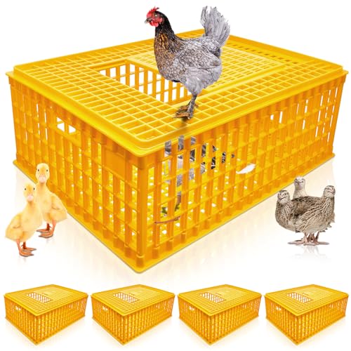 Sintuff Geflügel-Transportkiste aus Kunststoff, für Geflügel, Huhn, Vogel, Ente, Gans, 75 x 55 x 29 cm, Gelb, 4 Stück von Sintuff