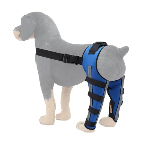 Sionhiuo Orthopädische Klammer für Hunde, Hunde -Hinterbein -Klammern,Pet Orthopaedic Joint Support Brace - Tragen Sie resistente Hundehockgelenkunterstützung für kleine Tiere Haustiere Sionhiuo Orthopädische Klammer für Hunde, Hunde -Hinterbein -Klammern,Pet Orthopaedic Joint Support Brace - Tragen Sie resistente Hundehockgelenkunterstützung für kleine Tiere Haustiere von Sionhiuo