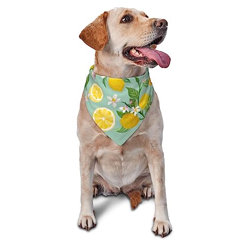 Hundehalstuch, Hochzeits-Haustier-Schal, Zubehör für Hundeliebhaber, Brautparty, Geschenk (Zitronenbaumblätter, tropische Blumen, Blumen) von Sipeigyd