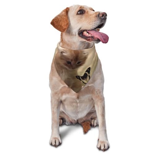 Hundehalstuch, Motiv: Bashful Cat – Hundehalstuch, waschbar, großes Hundehalstuch, verstellbares Katzen-Halstuch, Hundezubehör, Dreieck, Geburtstagsgeschenk, Geschenk für Haustiere Hundehalstuch, Motiv: Bashful Cat – Hundehalstuch, waschbar, großes Hundehalstuch, verstellbares Katzen-Halstuch, Hundezubehör, Dreieck, Geburtstagsgeschenk, Geschenk für Haustiere von Sipeigyd