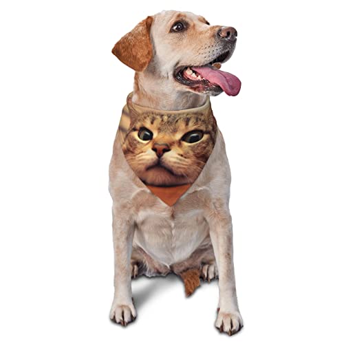 Niedliches Hundehalstuch, Hundehalstuch, für Sommer, Geburtstag, verstellbar, für Jungen und Mädchen, hochwertiges Haustier-Hundebekleidung und Zubehör, waschbar, Dreieckstuch für Haustiere Niedliches Hundehalstuch, Hundehalstuch, für Sommer, Geburtstag, verstellbar, für Jungen und Mädchen, hochwertiges Haustier-Hundebekleidung und Zubehör, waschbar, Dreieckstuch für Haustiere von Sipeigyd