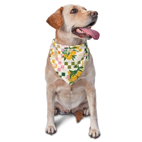 Sipeigyd Fruit-Hundehalstuch, waschbar, dreieckig, verstellbar, für Welpen, Bandana, Taschentuch für Mädchen oder Jungen, mittelgroße und große Hunde und Katzen, 1 Stück Sipeigyd Fruit-Hundehalstuch, waschbar, dreieckig, verstellbar, für Welpen, Bandana, Taschentuch für Mädchen oder Jungen, mittelgroße und große Hunde und Katzen, 1 Stück von Sipeigyd