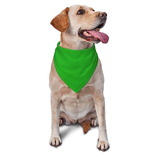 Sipeigyd Grünes Hundehalstuch, Dreieckstuch aus Flanell, dicke Baumwolle, Bandana für kleine, mittelgroße und große Hunde und Katzen von Sipeigyd