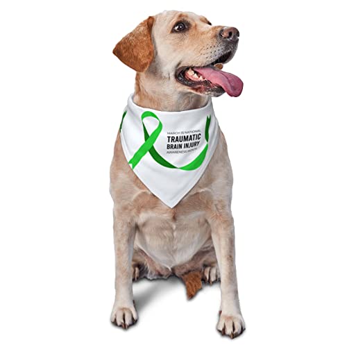Sipeigyd Hundehalstücher für traumatische Gehirnverletzungen, wendbar, Dreiecks-Lätzchen, Kostüm-Dekoration, Zubehör für Hunde und Katzen von Sipeigyd