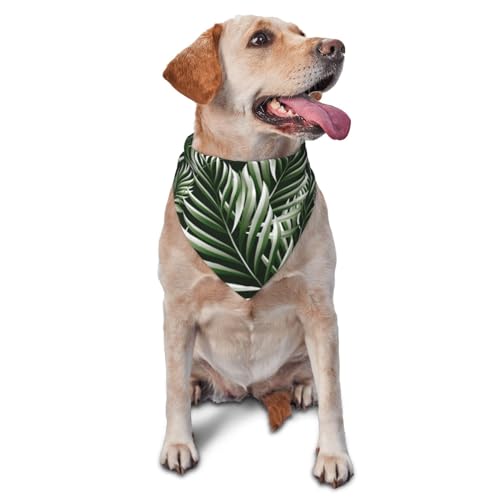 Sipeigyd Hundehalstücher mit tropischen Palmenblättern, für kleine, mittelgroße und große Hunde Sipeigyd Hundehalstücher mit tropischen Palmenblättern, für kleine, mittelgroße und große Hunde von Sipeigyd