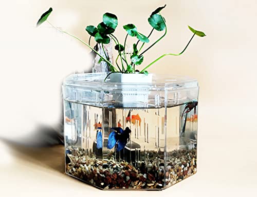 Siqi Betta Aquarium Acrylmaterial Mini Desktop Aquarium Goldfisch Mini Aquarium Kranker Fisch Isolationsraum, Mit Filter Wasserpumpe (4 Gitterplatz) von Siqi