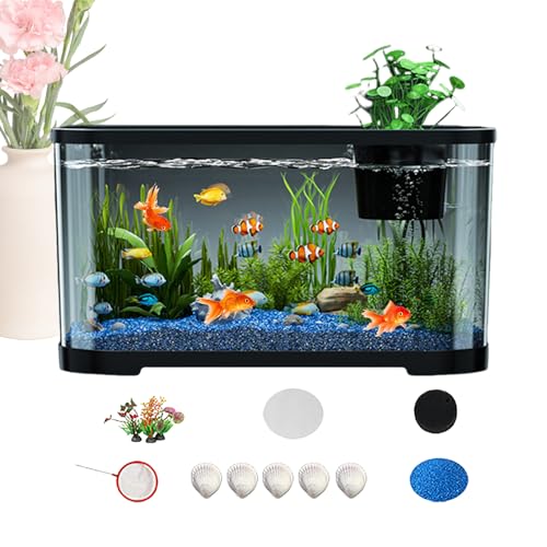 Aquarium | Kampffisch Aquarium - Komplettset Mit Zubehör Für Anfänger Erwachsene Guppys Quallen Kampffische Zimmer Schreibtisch Deko Aquarium | Kampffisch Aquarium - Komplettset Mit Zubehör Für Anfänger Erwachsene Guppys Quallen Kampffische Zimmer Schreibtisch Deko von Sirseon