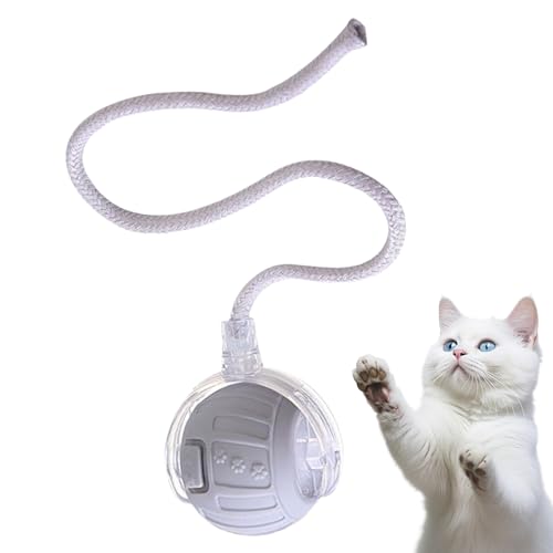 Interaktiver Katzenball Spielzeug, Automatisch Rollendes Katzen Spielzeug Interaktiv, Leises Elektroball mit Schwanzseil zur Unterhaltung, Indoor-Training & Jagdsimulation bei Langeweile Interaktiver Katzenball Spielzeug, Automatisch Rollendes Katzen Spielzeug Interaktiv, Leises Elektroball mit Schwanzseil zur Unterhaltung, Indoor-Training & Jagdsimulation bei Langeweile von Sirseon