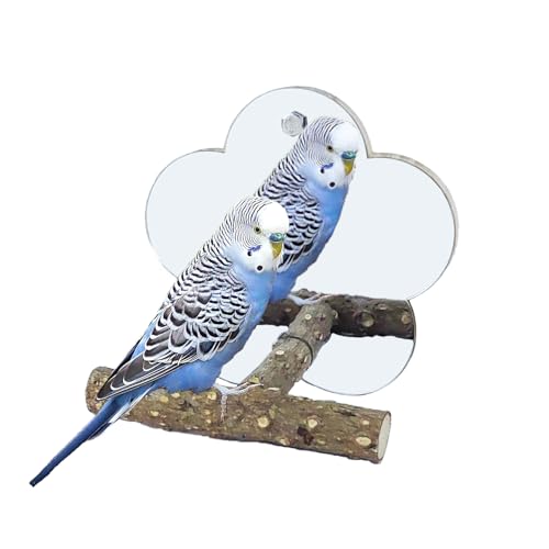 Sirvarni Vogelspiegel mit Sitzstange, interaktives Spielzeug, Käfigzubehör für Haustiere, Papageien, Wellensittiche, Nymphensittiche, Sittiche, Sittiche, Finken, Kanarienvögel und andere kleine Vögel Sirvarni Vogelspiegel mit Sitzstange, interaktives Spielzeug, Käfigzubehör für Haustiere, Papageien, Wellensittiche, Nymphensittiche, Sittiche, Sittiche, Finken, Kanarienvögel und andere kleine Vögel von Sirvarni