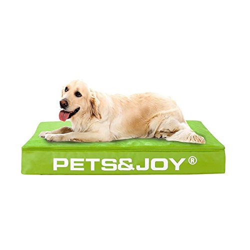 sit&joy® Sitzsack Dog Bed Large Grün von Sit&Joy