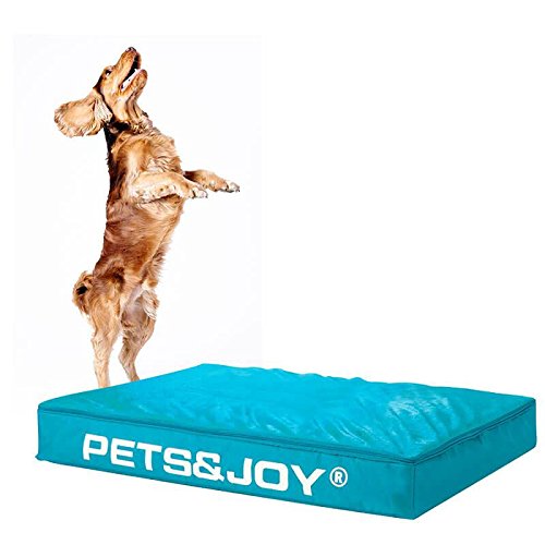 sit&joy® Sitzsack Dog Bed Large Türkis von Sit&Joy