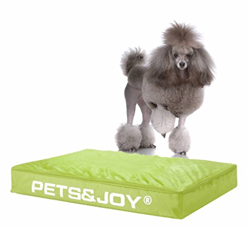 sit&joy® Sitzsack Dog Bed Medium Grün von Sit&Joy