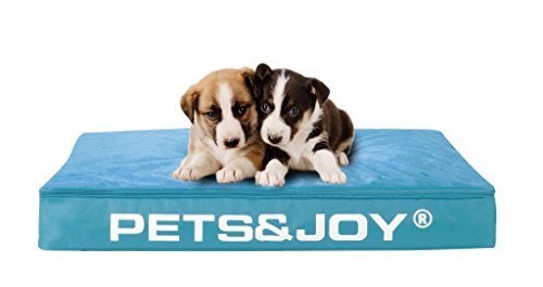 sit&joy® Sitzsack Dog Bed Medium Türkis von Sit&Joy