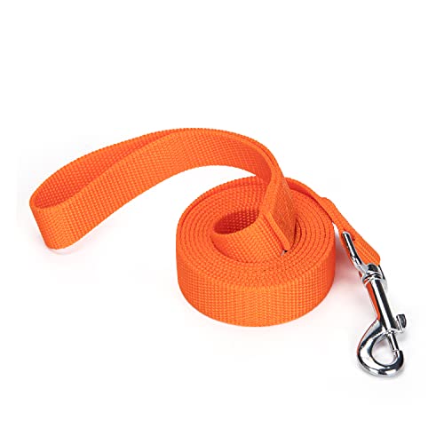 Siumouhoi Robuste, langlebige Nylon-Hundeleine, 2,5 cm breites Traktionsseil, 1,8 m 3 m 4,6 m lang, für kleine und mittelgroße Hunde (Orange, 1,8 m) von Siumouhoi