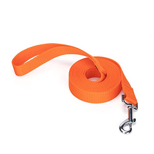 Siumouhoi Robuste, langlebige Nylon-Hundeleine, 2,5 cm breites Traktionsseil, 1,8 m 3 m 4,6 m lang, für kleine und mittelgroße Hunde (Orange, 3 m) von Siumouhoi