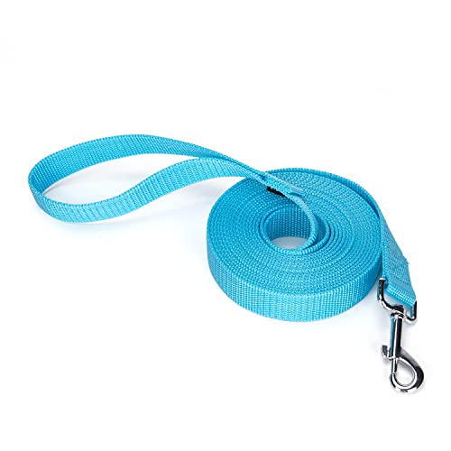 Siumouhoi Robuste, langlebige Nylon-Hundeleine, 2,5 cm breites Traktionsseil, 1,8 m 3 m 4,6 m lang, für kleine und mittelgroße Hunde (mintblau, 4,5 m) von Siumouhoi