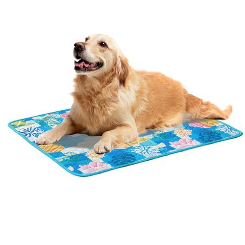 Siuwddee Kühlmatte Für Hunde Katzen,60x50 cm Selbst Kühlende Hundematte Frischematte Für Hunde Und Katzen Sommer Kühlkissen Hundematte,Falbar rutschfest Dog Cooling Mat Für Zuhause Unterwegs von Siuwddee