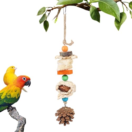 Siuwddee Sittichschaukel für Käfig - Kauschaukel-Rattanball-Spielzeug für Papageien,Lustiges Papageienspielzeug für Hamster, buntes Vogelspielzeug zum Spielen, Klettern, Erkunden Siuwddee Sittichschaukel für Käfig - Kauschaukel-Rattanball-Spielzeug für Papageien,Lustiges Papageienspielzeug für Hamster, buntes Vogelspielzeug zum Spielen, Klettern, Erkunden von Siuwddee