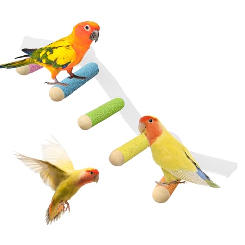 Siuwddee Vogel Sitzstange | Nymphensittich Kletterleiter Mit Saugnäpfen - Multifunktionale Saugnapf-Sitzstange für Papageienkäfig – für Wellensittiche, Nymphensittiche und Conures Siuwddee Vogel Sitzstange | Nymphensittich Kletterleiter Mit Saugnäpfen - Multifunktionale Saugnapf-Sitzstange für Papageienkäfig – für Wellensittiche, Nymphensittiche und Conures von Siuwddee
