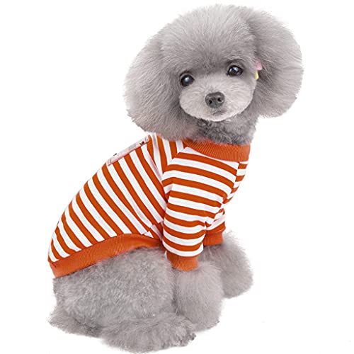 Mode-Haustier-Frühlings- und Sommer-Streifen aus Reiner Baumwolle kostümiert Haustier-T-Shirt T Shirt Mit Katze Drauf (Orange, M) von SkotO