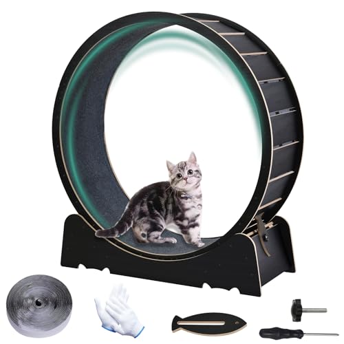 Großes Katzen-Trainingsrad, 101,6 cm, Laufband, Trainingsgerät für Indoor-Katzen, Liebe, Kitty, Laufspielzeug, Walking-Training für Fitness, Gewichtsverlust, geeignet für die meisten Katzen, Großes Katzen-Trainingsrad, 101,6 cm, Laufband, Trainingsgerät für Indoor-Katzen, Liebe, Kitty, Laufspielzeug, Walking-Training für Fitness, Gewichtsverlust, geeignet für die meisten Katzen, von Skrnqcoz