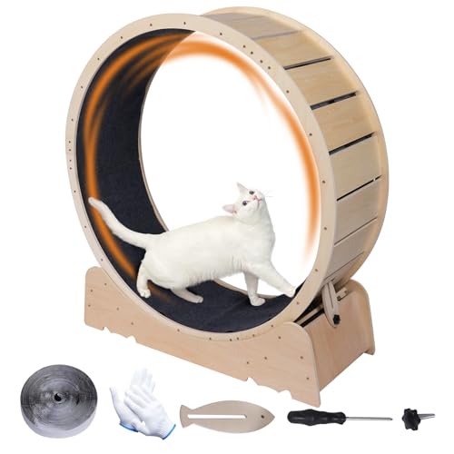 Großes Katzen-Trainingsrad, 101,6 cm, Laufband, Trainingsgerät für Indoor-Katzen, Liebe, Kitty, Laufspielzeug, Walking-Training für Fitness, Gewichtsverlust, geeignet für die meisten Katzen, Großes Katzen-Trainingsrad, 101,6 cm, Laufband, Trainingsgerät für Indoor-Katzen, Liebe, Kitty, Laufspielzeug, Walking-Training für Fitness, Gewichtsverlust, geeignet für die meisten Katzen, von Skrnqcoz