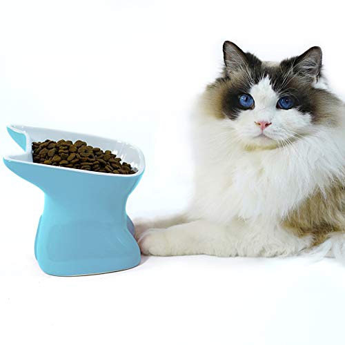 AOLDHYY SkyAppetite Katzennäpfe aus Keramik, erhöht, um 15 ° geneigt, gegen Erbrechen, erhöhte Futternäpfe für Futter und Wasser, schützt die Wirbelsäule des Haustiers, spülmaschinenfest und leicht zu von SkyAppetite