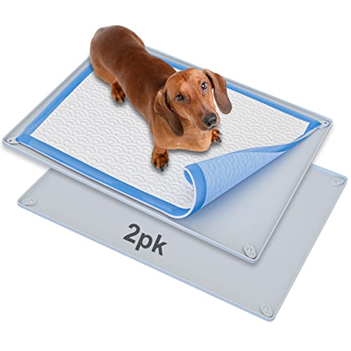 Skywin Pee-Pad-Halter – kein Verschütten und Auslaufen, Silikon-Pad-Halter, sicheres 76,2 x 58,9 cm Pee-Pad (30 x 23 W, 2 Stück, grau) von Skywin