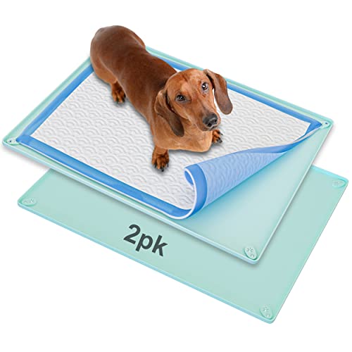 Skywin Pee-Pad-Halter – kein Verschütten und Auslaufen, Silikon-Pad-Halter, sicheres 76,2 x 58,9 cm Pee-Pad (30 x 23 W, 2 Stück, türkis) von Skywin