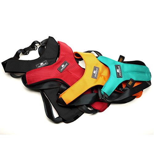 Sleepypod Hunde-Sicherheitsgurtgeschirr CS-ORD-L Clickit Sport, L, orange Dream Sleepypod Hunde-Sicherheitsgurtgeschirr CS-ORD-L Clickit Sport, L, orange Dream von Sleepypod