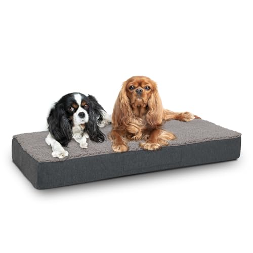 Sleezzz Petzzz Orthopädisches Hundekissen, Hundematratze, Hundebett 80 x 55 x 10 cm, Memory Foam, Grau, Waschbarer Bezug Sleezzz Petzzz Orthopädisches Hundekissen, Hundematratze, Hundebett 80 x 55 x 10 cm, Memory Foam, Grau, Waschbarer Bezug von Sleezzz