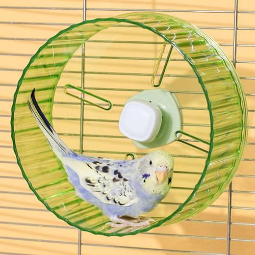 17,3 cm Papagei Silent Running Wheel Papagei Übungsrad Vögel Papageien Schildkröten Hamster Kleintier Leise Laufrad (Grün) von Slepceub
