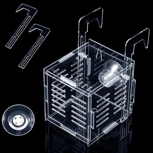 Acryl-Fischzuchtbox, Züchterbox für Aquarium, transparent, für Aquarium, 9,9 cm, quadratische Fischtrennung, Züchterboxen mit Saugnäpfen für Babyfische, Garnelen, Clownfische Acryl-Fischzuchtbox, Züchterbox für Aquarium, transparent, für Aquarium, 9,9 cm, quadratische Fischtrennung, Züchterboxen mit Saugnäpfen für Babyfische, Garnelen, Clownfische von Sliverdew