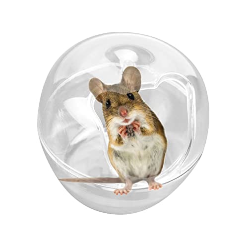 Hamster Sandbad Box | Transparente Toilette mit apfelförmigem Design,Transparente Sandbadbox für kleine Haustiere, geeignet für Hamster, Mäuse, Lemminge, Rennmäuse oder andere kleine Haustiere von Sloane