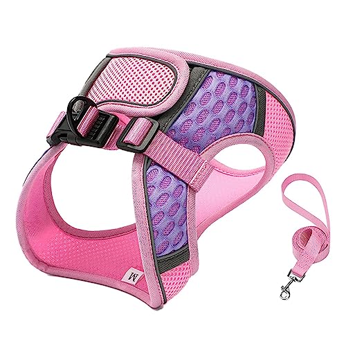 Hundeweste,Mesh-Haustierweste mit Leine - Katzengeschirr mit reflektierendem Streifen, Netz-Haustierweste, atmungsaktives Westengeschirr, Kätzchenwestengeschirr Hundeweste,Mesh-Haustierweste mit Leine - Katzengeschirr mit reflektierendem Streifen, Netz-Haustierweste, atmungsaktives Westengeschirr, Kätzchenwestengeschirr von Sloane