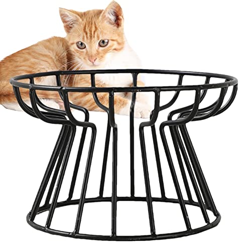 Katzennapf | Whisker Friendly erhöhter Katzennapf aus Keramik,Katzennapf mit Metallständer, erhöhter Kätzchennapf, Tierfutter und Wasser-Futterstation für kleine Hunde im Innenbereich von Sloane