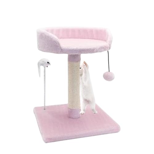 Kratzbaum - Katzenkratzturm für Hauskatzen - Gemütlicher Mini-Katzenpfleger, interaktives Spielzeug für schlafende und spielende Kätzchen und Katzen von Sloane
