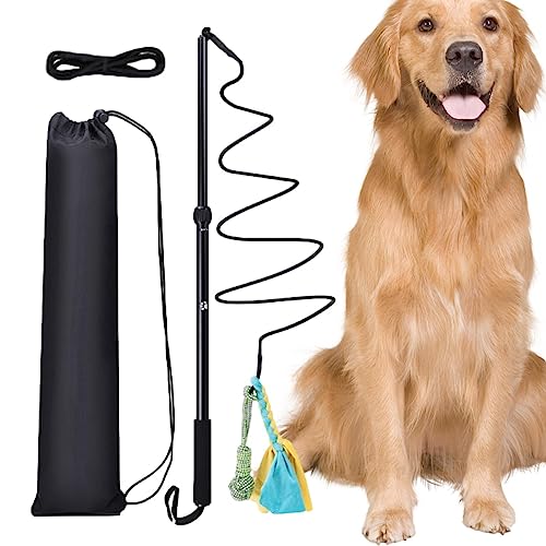 Sloane Hunde-Teaser-Stick - Teleskop-Zauberstab für Hunde - Ausziehbares interaktives Spielzeug zum Flirten von Haustieren, Schwanzseile zum Kauen von Hunden für Welpen und Kätzchen, drinnen und Sloane Hunde-Teaser-Stick - Teleskop-Zauberstab für Hunde - Ausziehbares interaktives Spielzeug zum Flirten von Haustieren, Schwanzseile zum Kauen von Hunden für Welpen und Kätzchen, drinnen und von Sloane