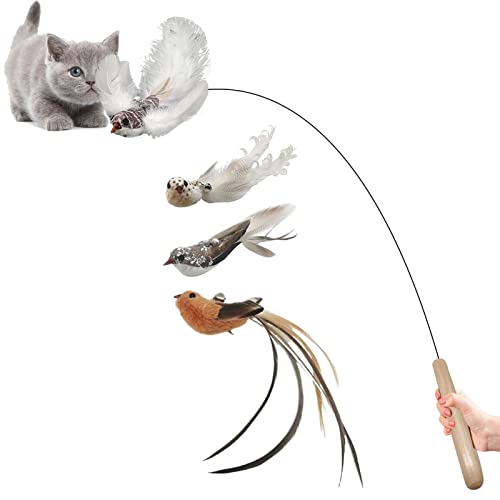 Interaktives Katzenspielzeug,Interaktives Vogelsimulations-Katzenspielzeug-Set | Kätzchenspielzeug Spielübung Feder Tease Cat Pole Simulation Vogeldraht Tease Cat Stick von Sloane