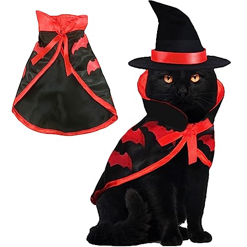Sloane Katzen-Halloween-Kostüme - Kitty-Kostü für Katzen - Hundekleidung in Umhangform mit Fledermausmuster. Verleihen Sie Halloween-Atmosphäre mit Kürbismuster für Kaninchen, Hunde und Katzen von Sloane