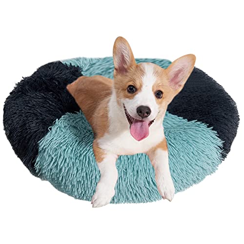 Sloane Katzenbettdecke,Waschbares Hundekissen Haustierbett | Bequemes Hundehütten-Pad Plüsch-Haustier-Nestbett für kleine Hunde, Welpen, Kätzchen Sloane Katzenbettdecke,Waschbares Hundekissen Haustierbett | Bequemes Hundehütten-Pad Plüsch-Haustier-Nestbett für kleine Hunde, Welpen, Kätzchen von Sloane