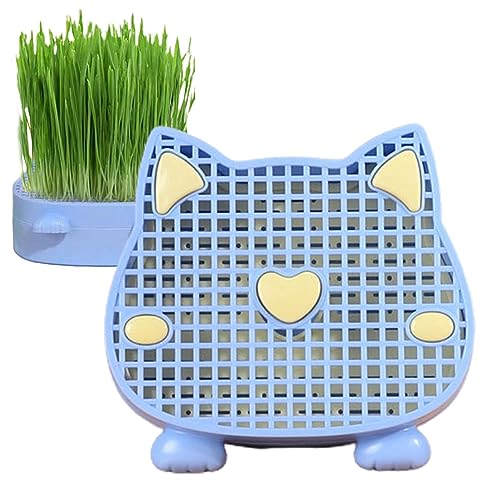 Sloane Katzengras-Pflanztablett | Erdfreies Pflanzgefäß für Katzengras Katzenminze-Katzengrasbox Katzengras-Anzuchtset Keimschale,Kindergartenkatze Für Petcat Grasanbau Katze Gras Sloane Katzengras-Pflanztablett | Erdfreies Pflanzgefäß für Katzengras Katzenminze-Katzengrasbox Katzengras-Anzuchtset Keimschale,Kindergartenkatze Für Petcat Grasanbau Katze Gras von Sloane
