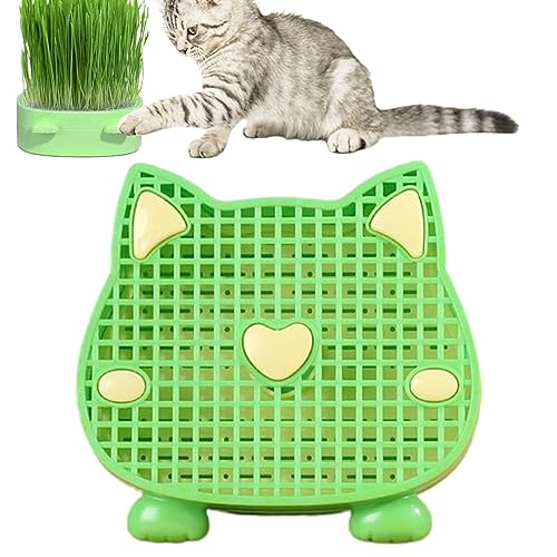 Sloane Katzengras-Pflanztablett | Erdfreies Pflanzgefäß für Katzengras Katzenminze-Katzengrasbox Katzengras-Anzuchtset Keimschale,Kindergartenkatze Für Petcat Grasanbau Katze Gras Sloane Katzengras-Pflanztablett | Erdfreies Pflanzgefäß für Katzengras Katzenminze-Katzengrasbox Katzengras-Anzuchtset Keimschale,Kindergartenkatze Für Petcat Grasanbau Katze Gras von Sloane