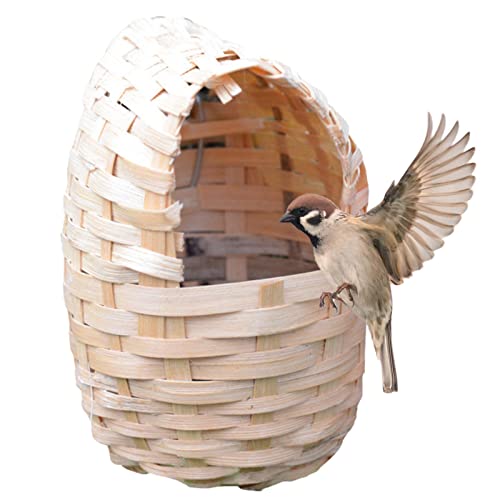 Kolibri-Haus,Kolibri-Hängender Vogel-Nistkasten | Handgewebte Vogelhäuschen aus natürlichem Bambus für Fenster, Terrasse, Garten, Zuhause, draußen Kolibri-Haus,Kolibri-Hängender Vogel-Nistkasten | Handgewebte Vogelhäuschen aus natürlichem Bambus für Fenster, Terrasse, Garten, Zuhause, draußen von Sloane