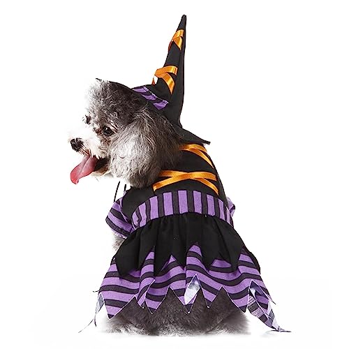 Sloane Zaubererkatzenkostüm | Süße lila Hunde weiche Kleidung mit Verstellbarer Mütze | Maschinenwaschbare Cosplay-Kleidung für Partygeschenke, Zaubererkostü für den Alltag, Partys Sloane Zaubererkatzenkostüm | Süße lila Hunde weiche Kleidung mit Verstellbarer Mütze | Maschinenwaschbare Cosplay-Kleidung für Partygeschenke, Zaubererkostü für den Alltag, Partys von Sloane