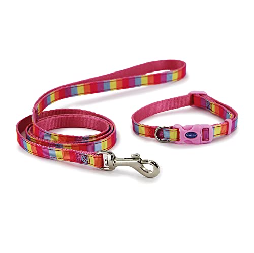 Ancol Small Bite Regenbogen-Halsband und Leine, Set für kleine Hunde und Welpen Ancol Small Bite Regenbogen-Halsband und Leine, Set für kleine Hunde und Welpen von Small Bite